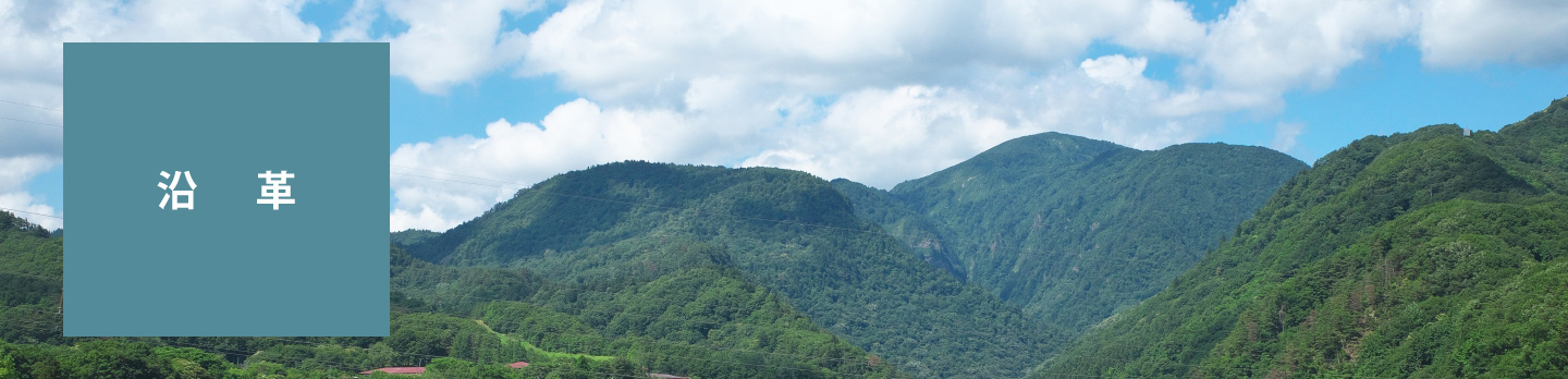 (株)システムデザインセンター　会社沿革