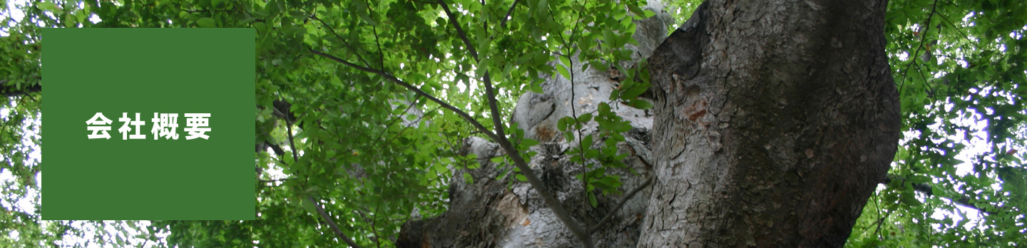 (株)システムデザインセンター　会社概要