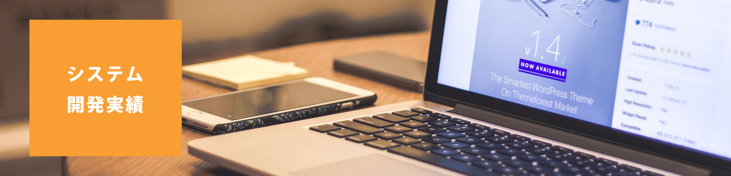 システム開発実績