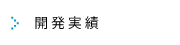 開発実績