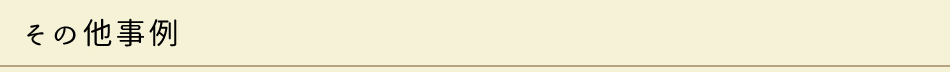 事例3　その他